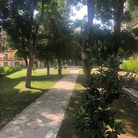 Rabi Park Warna